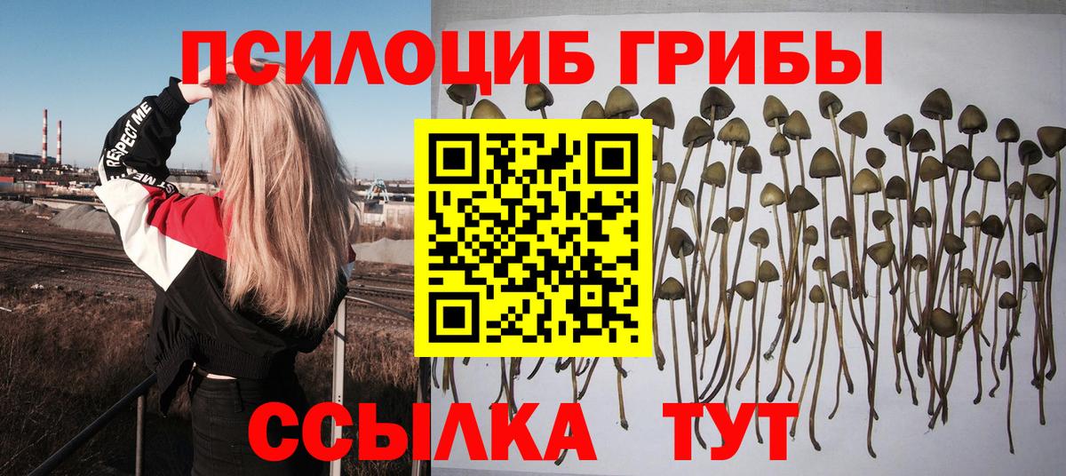Галлюциногенные грибы Psilocybine cubensis Усолье-Сибирское